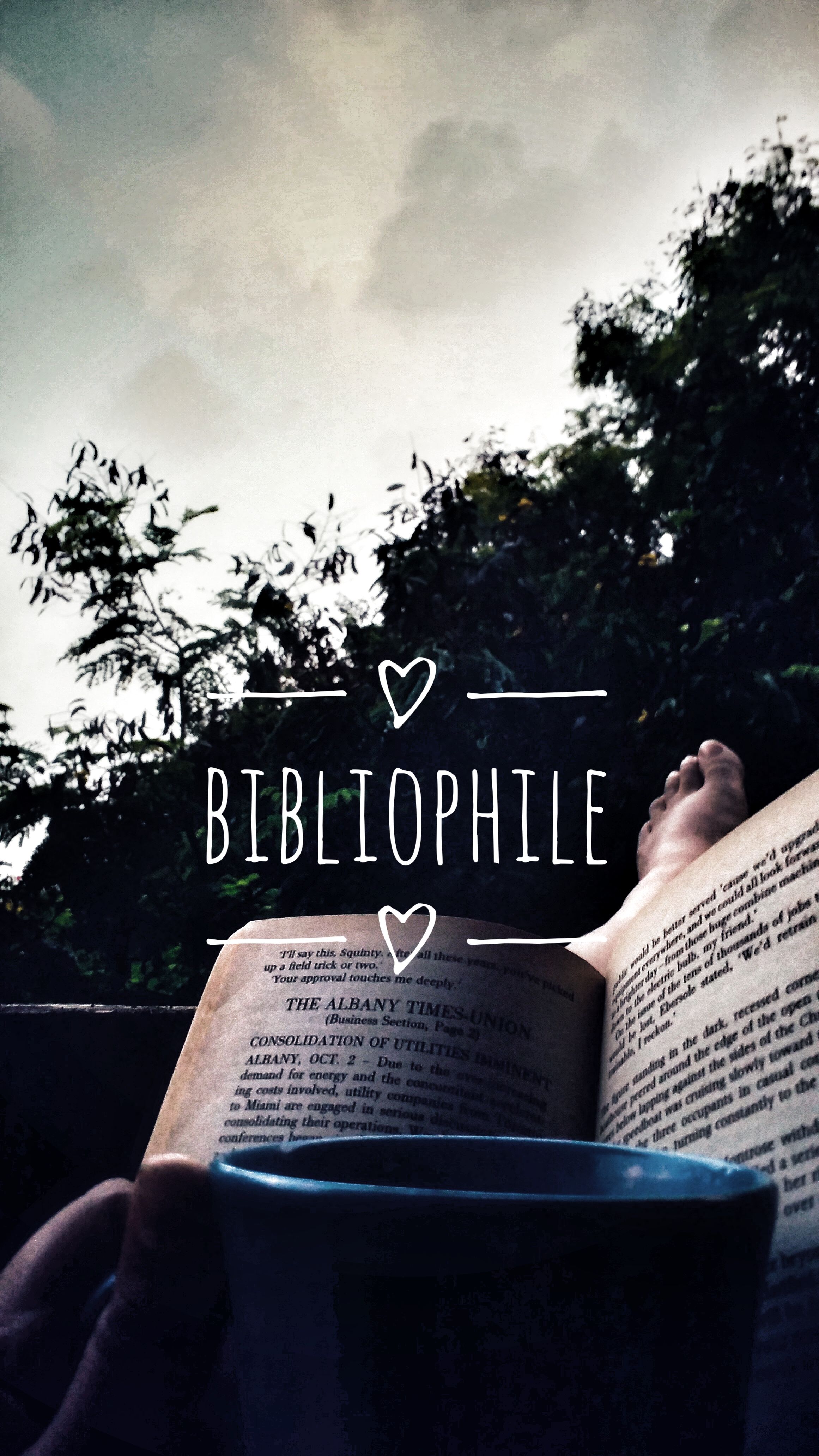 Bibliophile quotes for book lovers reading wallpaper book worms