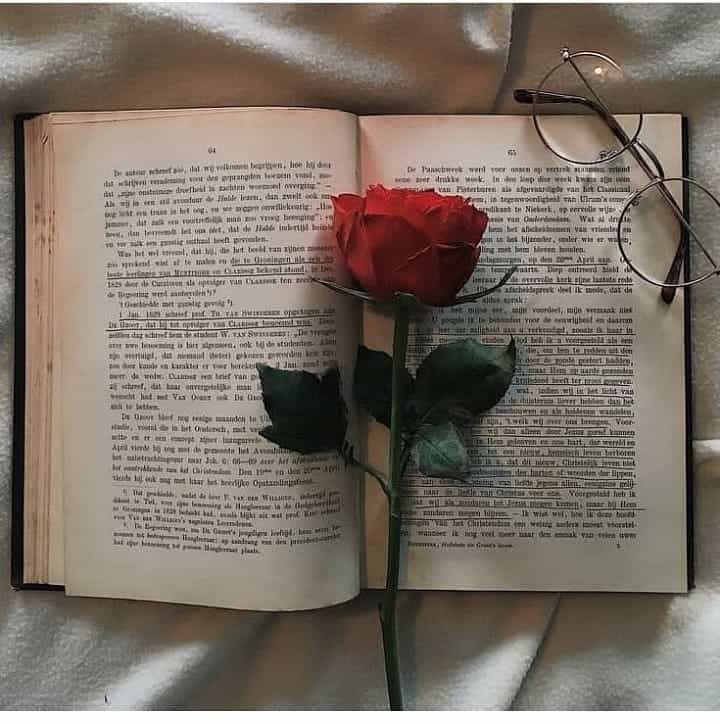 Book aesthetic glasses flowers library vintage rose libri httpsweheartitentrâ arkaplan tasarämlarä yaratäcä fotoärafãäläk soyut ãiãek resimleri