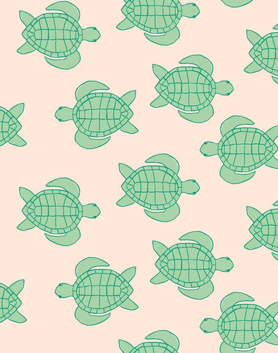 Download Free 100 + aesthetic sea turtle Wallpapers