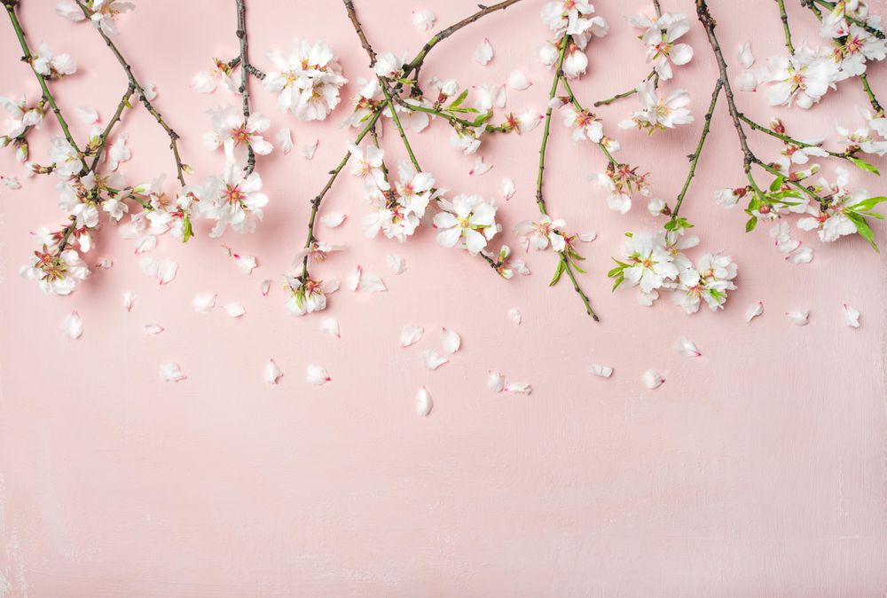 Download Free 100 + aesthetic spring laptop Wallpapers