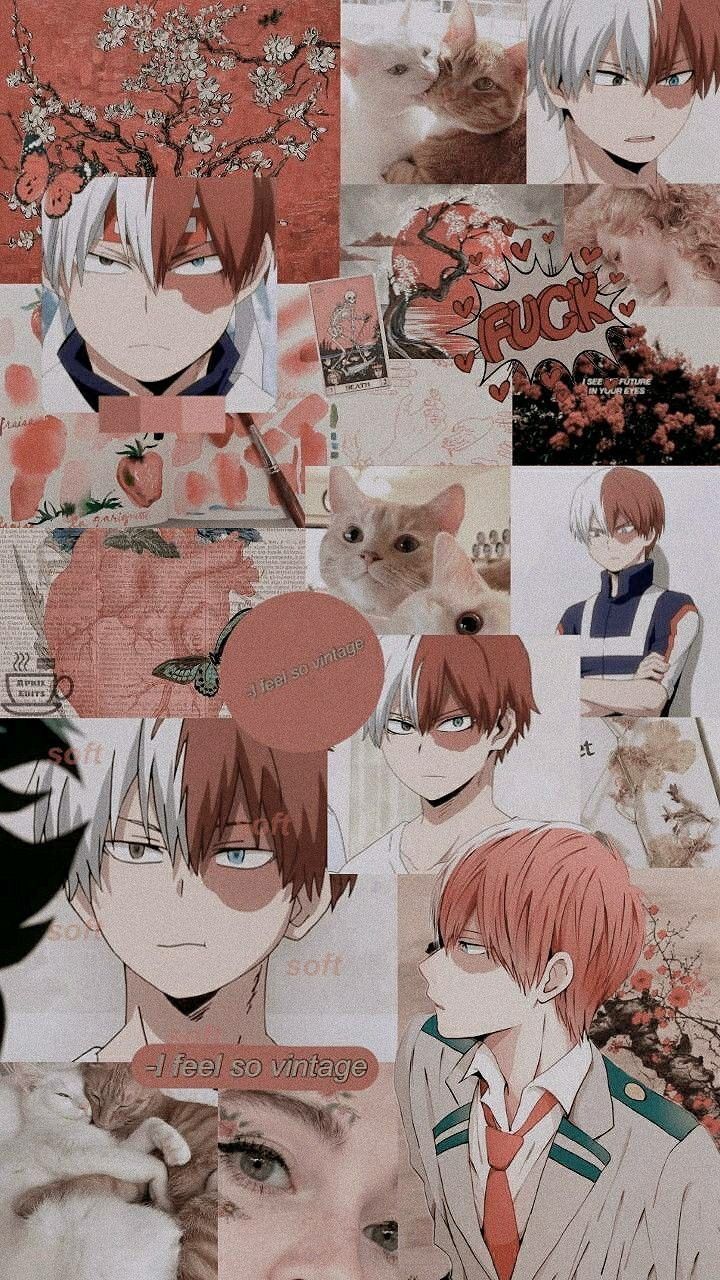 Aesthetic todoroki