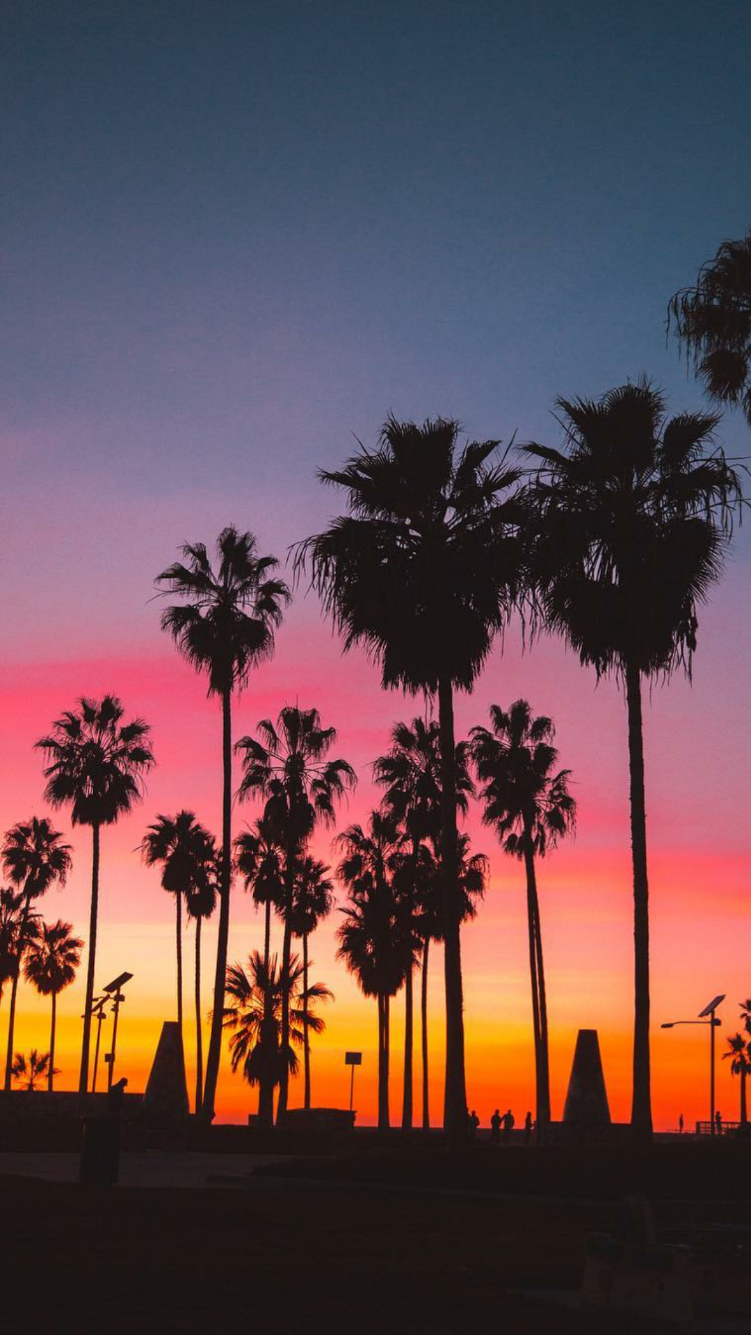 Sunset palm aesthetic wallpapers