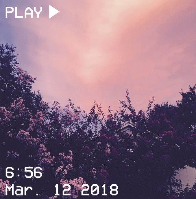 M o o n v e i n s vhs aesthetic sunset flowers clouds pink bush petals aesthetic wallpapers aesthetic photography sky aesthetic