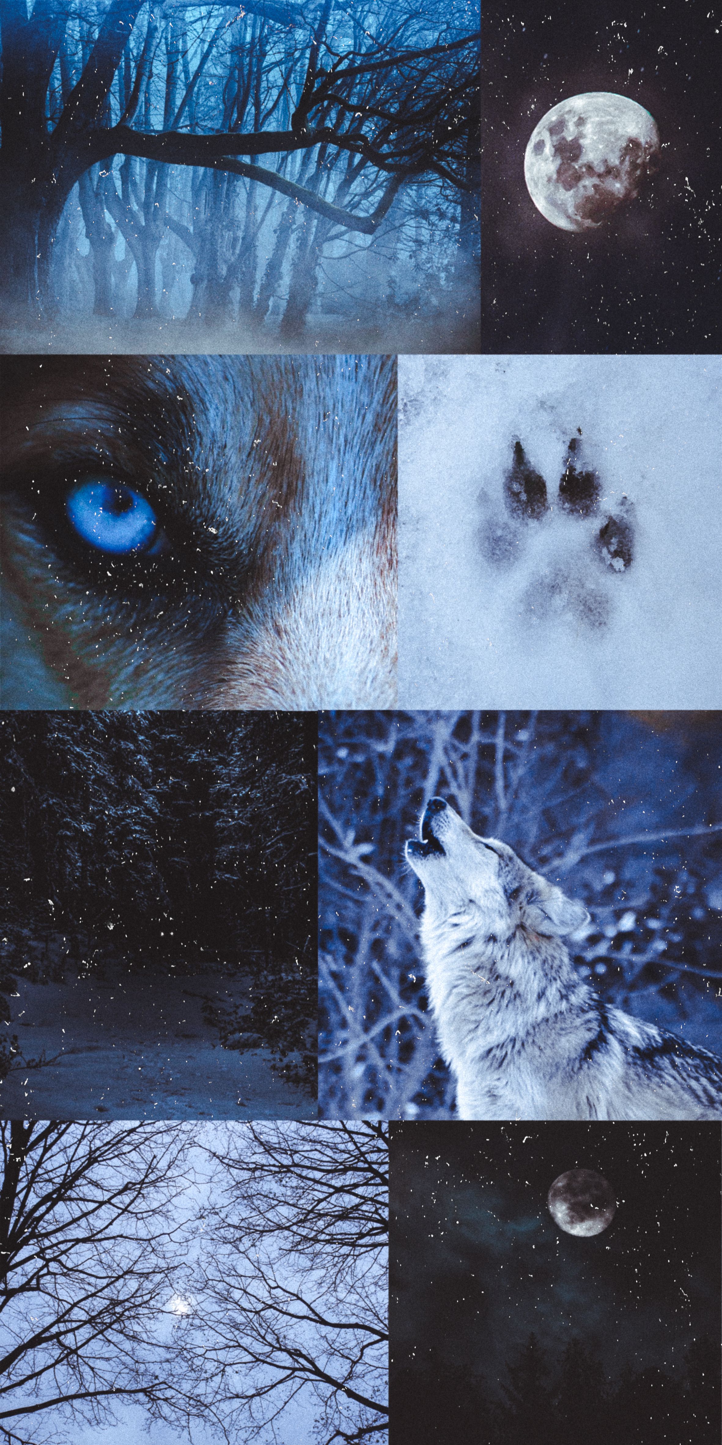 Wolf aesthetic wallpaper collage dark werewolf aesthetic wolf wallpaper wolf pictures