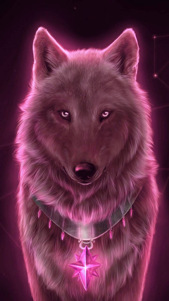 Pink wolf wallpapers