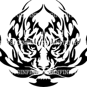 Tribal tiger