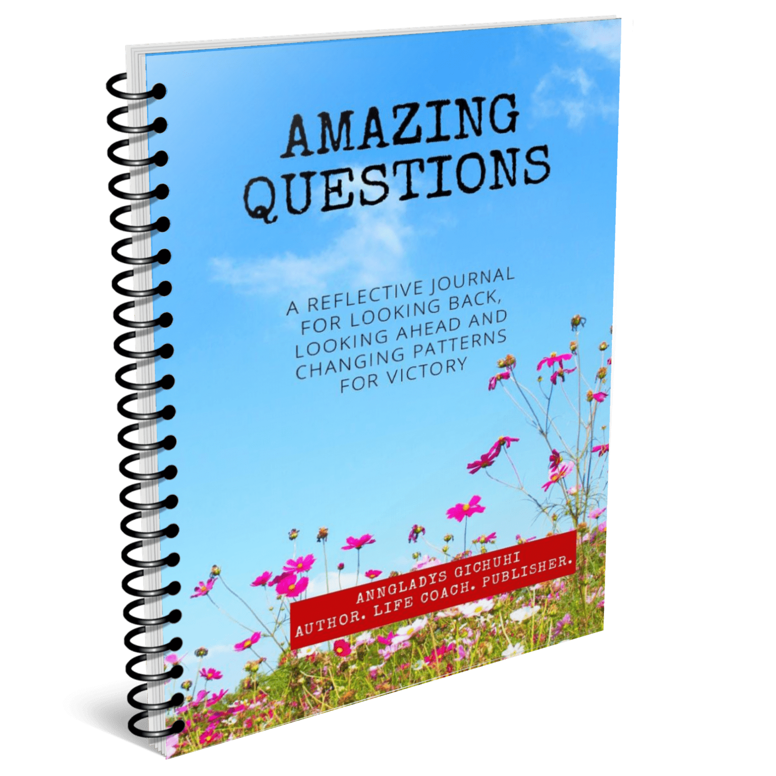 Amazing questions a reflective journal for looking back looking ahead and changing patterns for victory