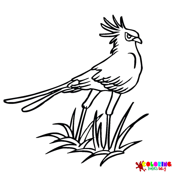 Secretarybird coloring pages