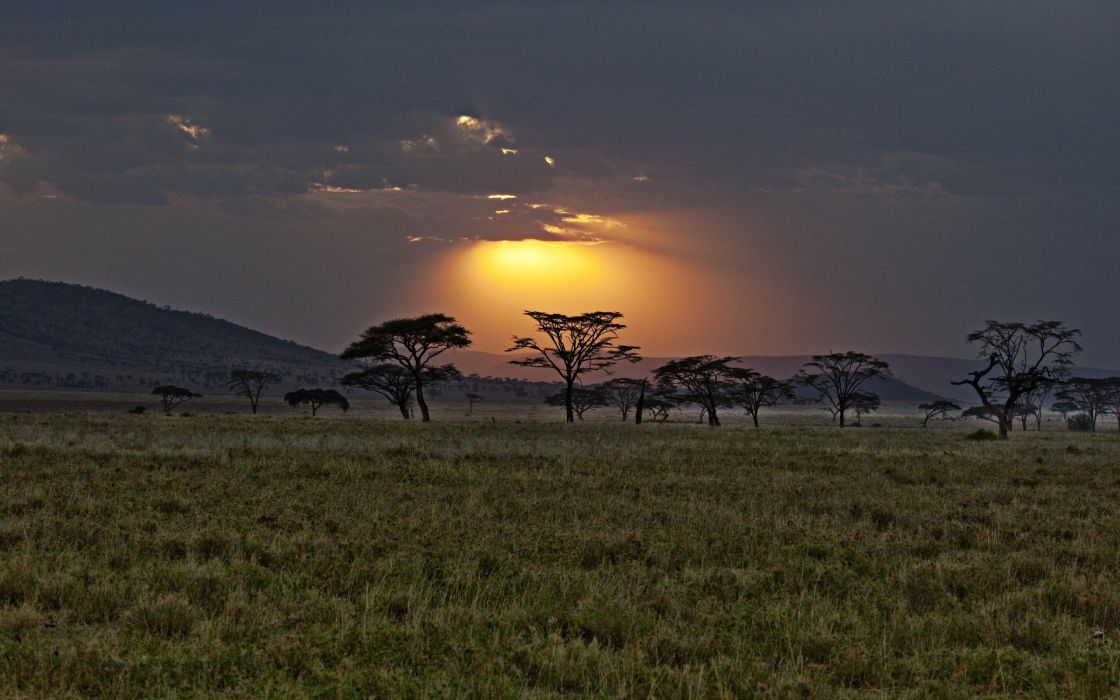 African savanna skies ideas savannah chat savanna african