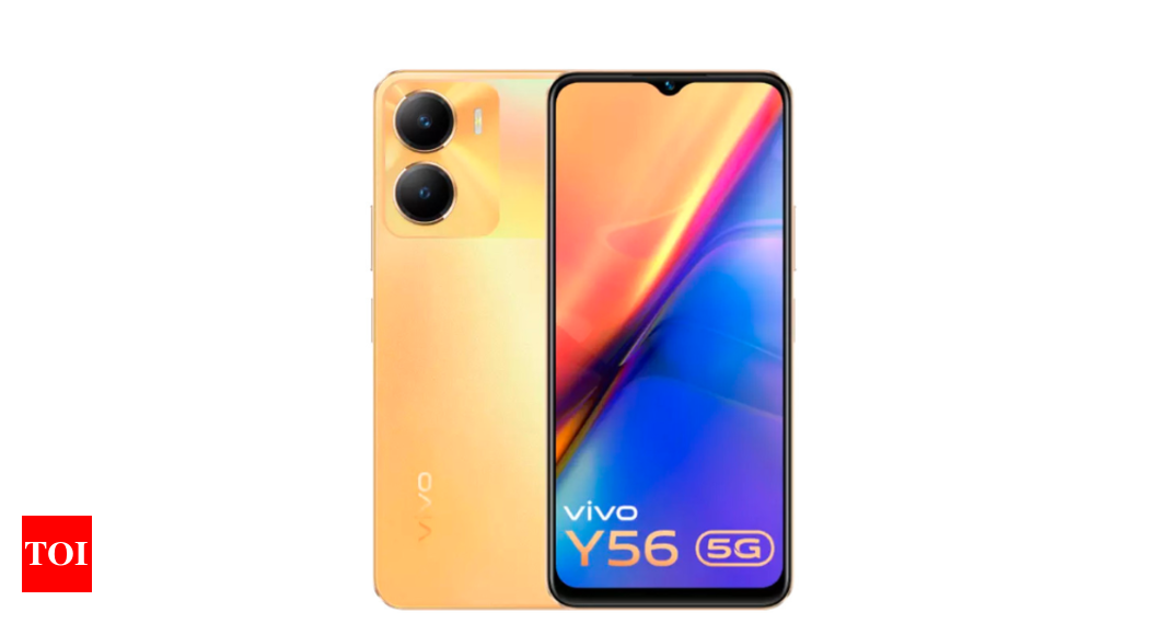 Vivo y g launched in india specifications price and more