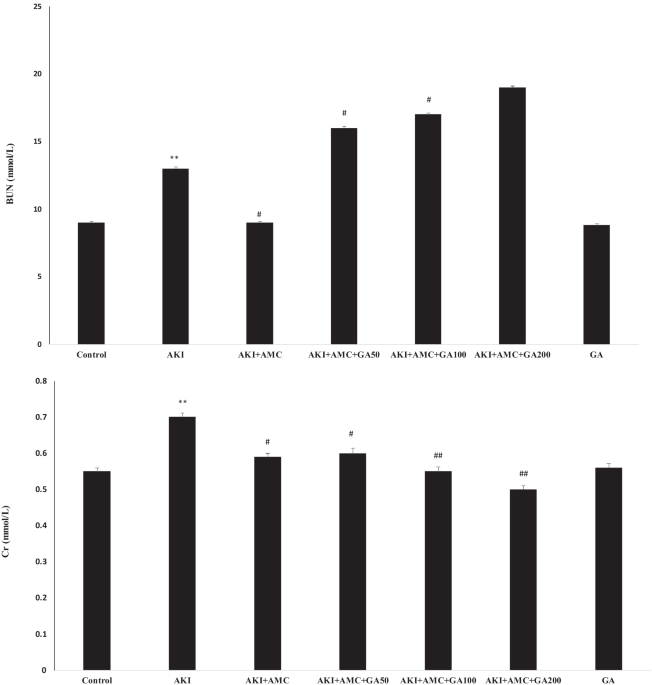 Gallic acid improves therapeutic effects of mesenchymal stem cells derived from adipose tissue in acute renal injury following rhabdomyolysis induced by glycerol