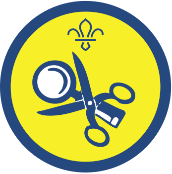 Beavers activity badges