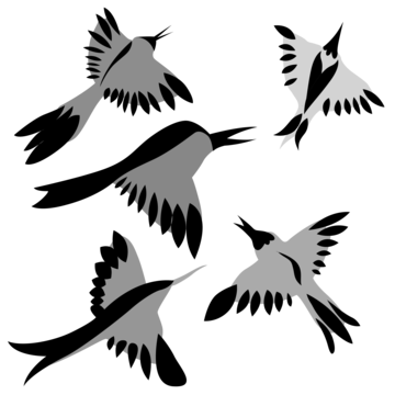 Bird drawing background png transparent images free download vector files