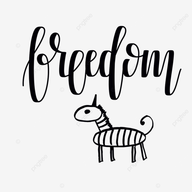 Vector cartoon zebra with freedom lettering car drawing cartoon drawing zebra drawing png and vector with transparent background for free download