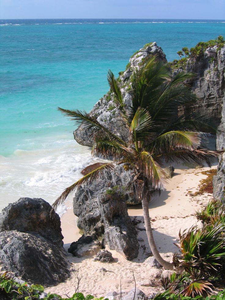 Spectacular things to do in tulum mexico for eco and nature lovers â travlinmad slow travel blog mexico travel cancun trip mexico vacation