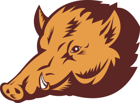 Arkansas razorback png transparent images free download vector files