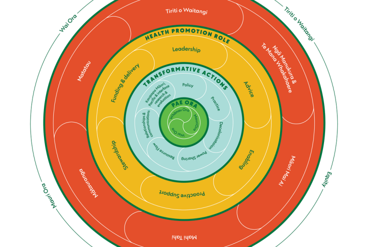 Te whatu ora health promotion