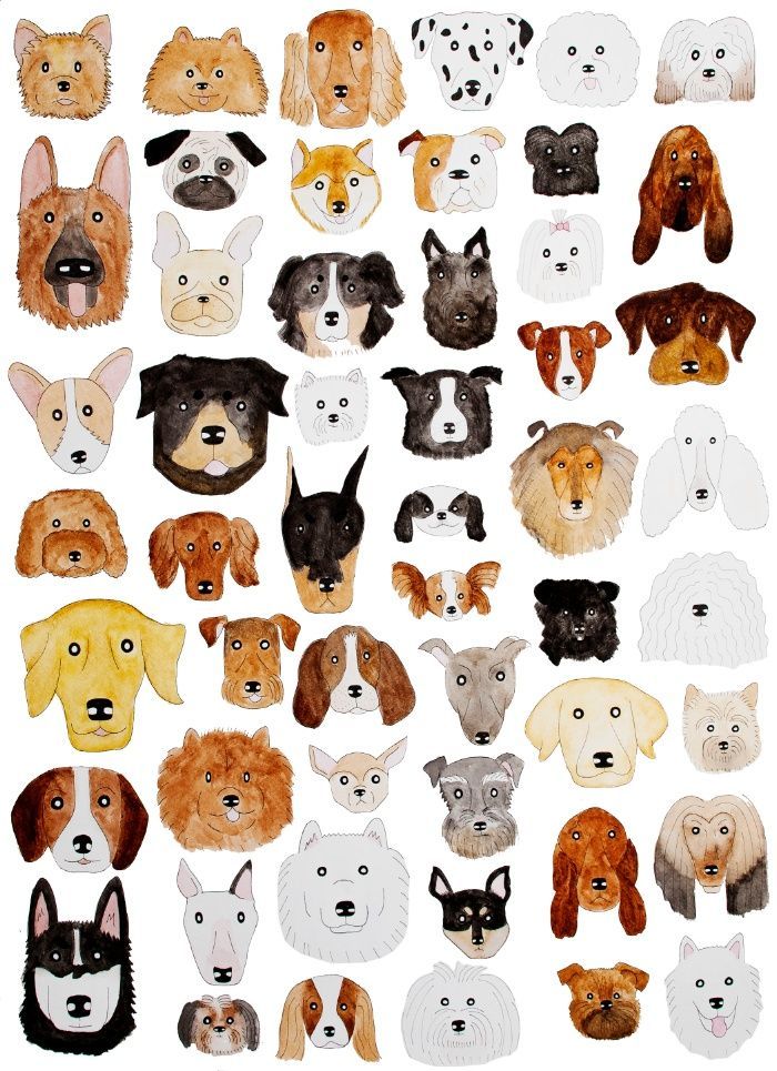 Dog breeds ptern dogs dogptern surfaceptern surfacedesign wallpaper wallpaperptern fabricdesignâ dog wallpaper iphone dog print art dog wallpaper