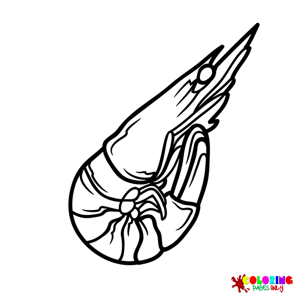 Shrimp coloring pages