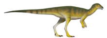 In archosaur paleontology