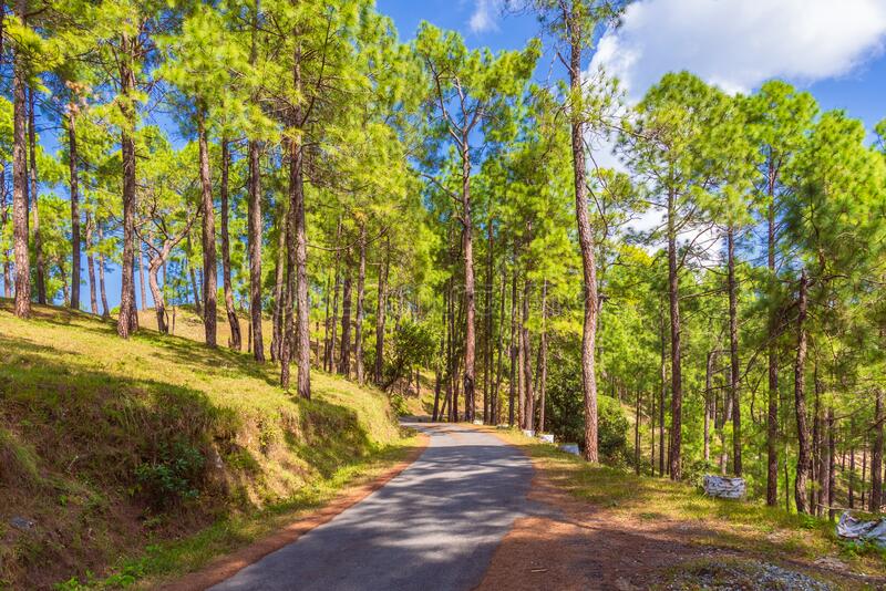 Almora uttarakhand stock photos