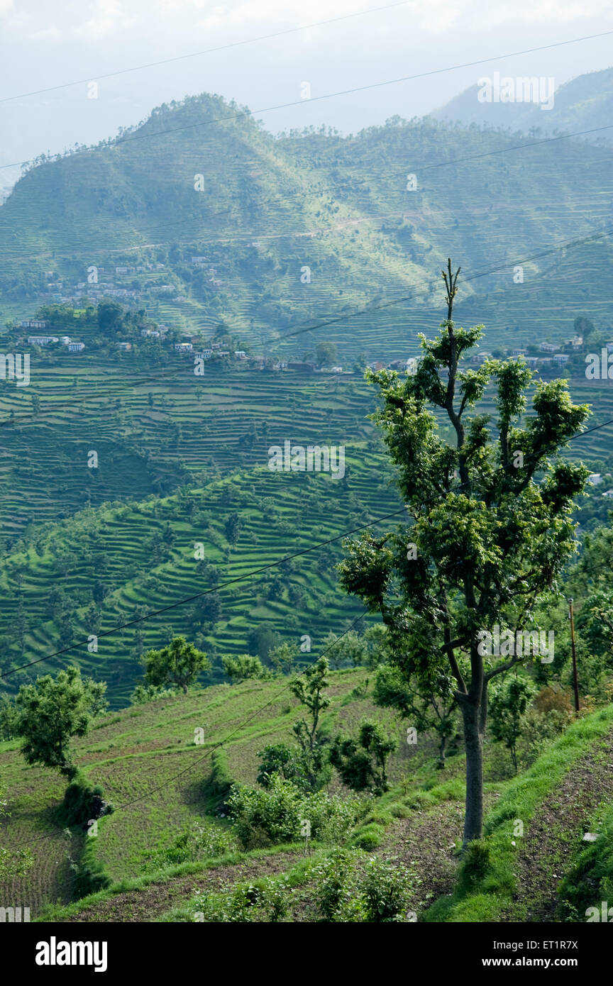 Almora uttarakhand india hi