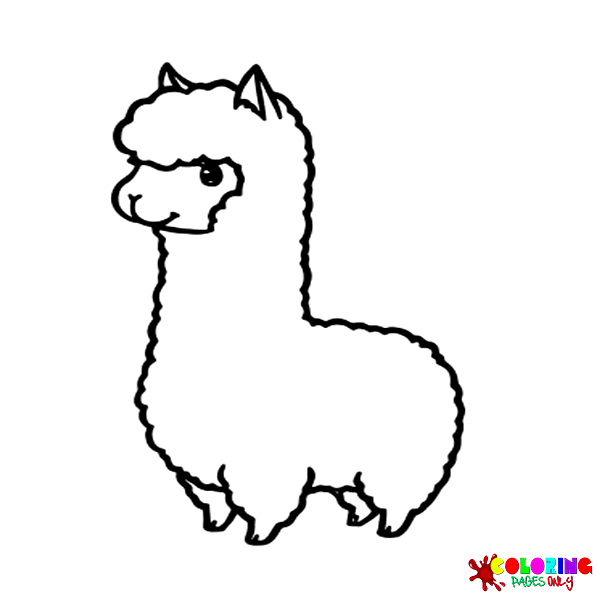 Llama coloring pages