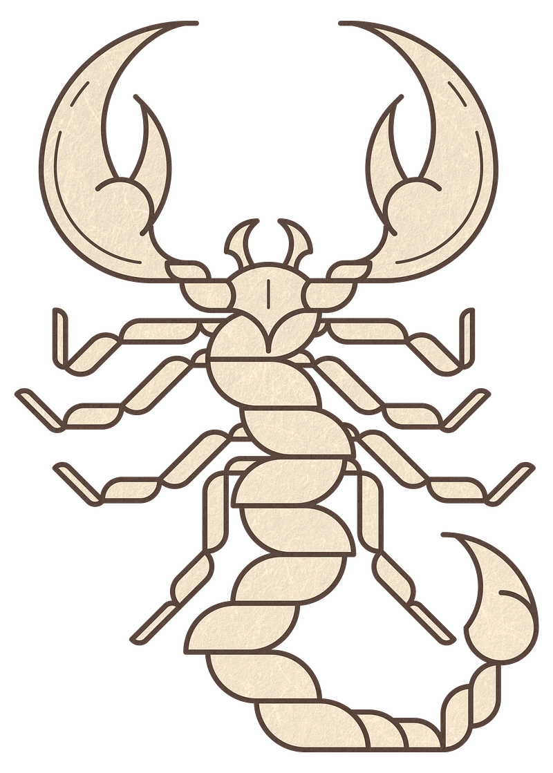 Scorpion vintage illustration images free photos png stickers wallpapers backgrounds