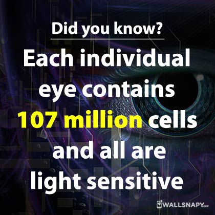 Share images for interesting facts about eyes