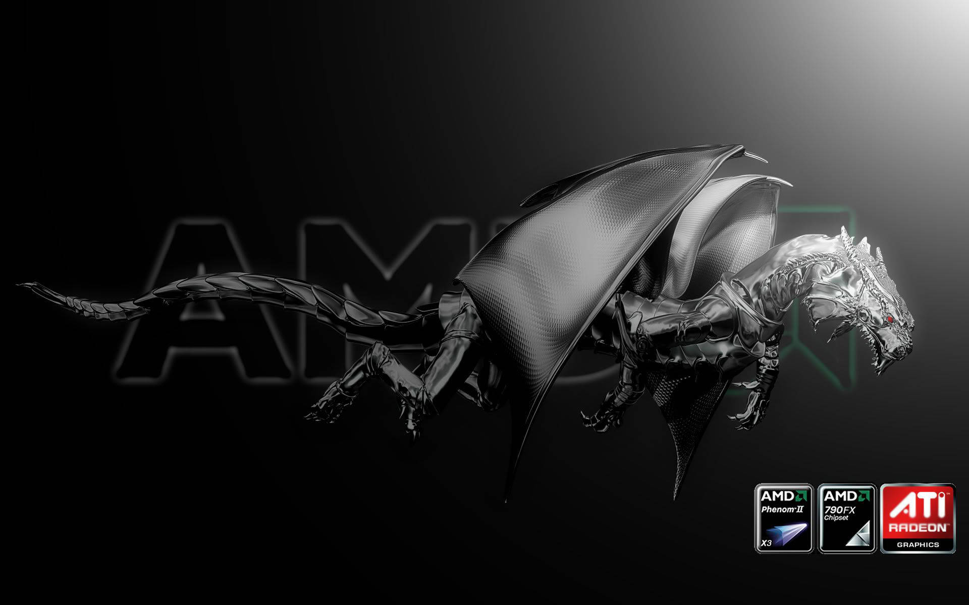 Download amd logo flying dragon wallpaper