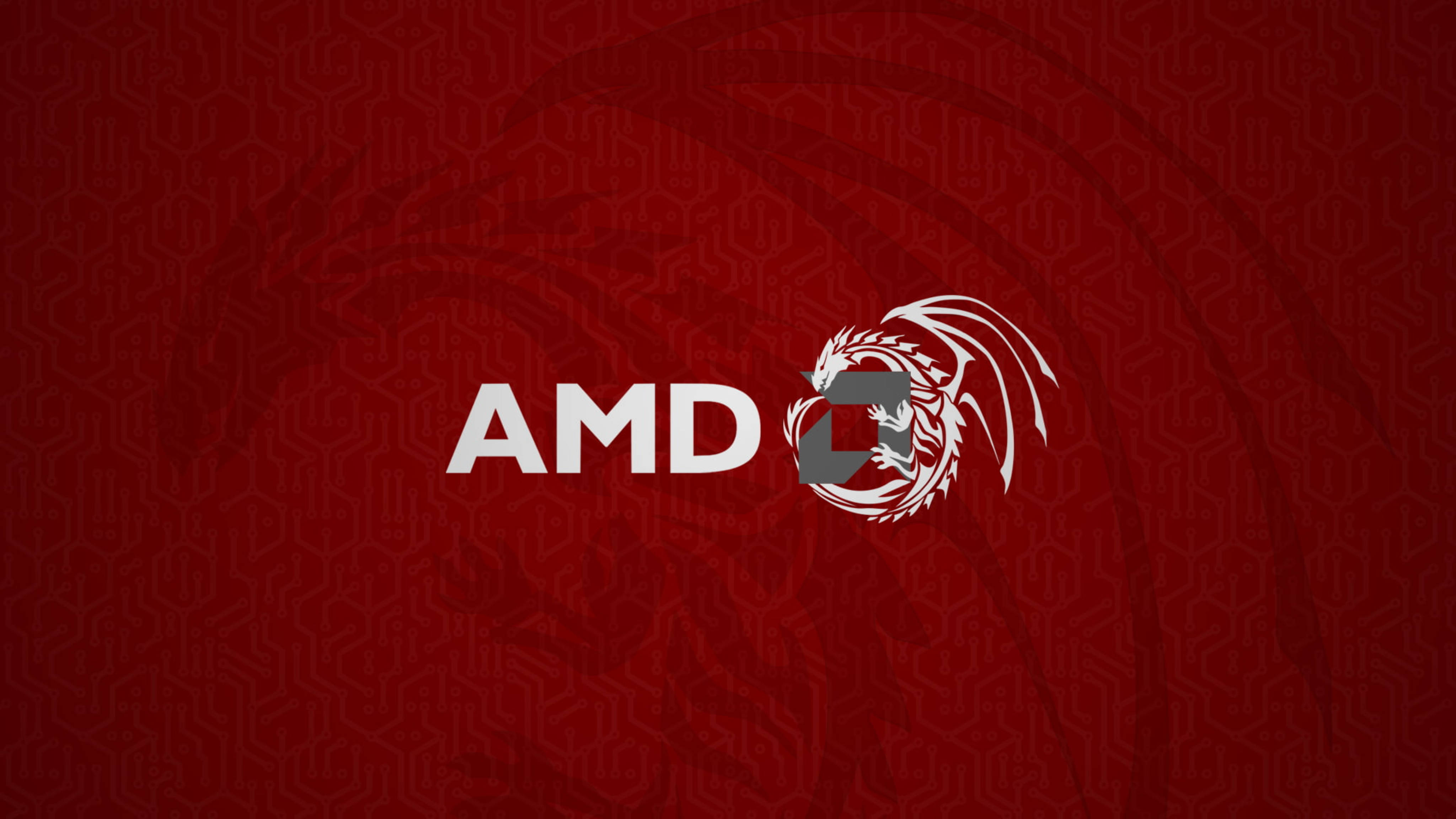 Download amd dragon red illustration wallpaper