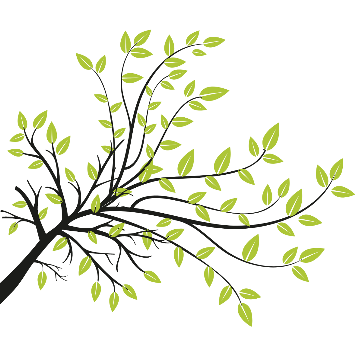 Free tree plant vector