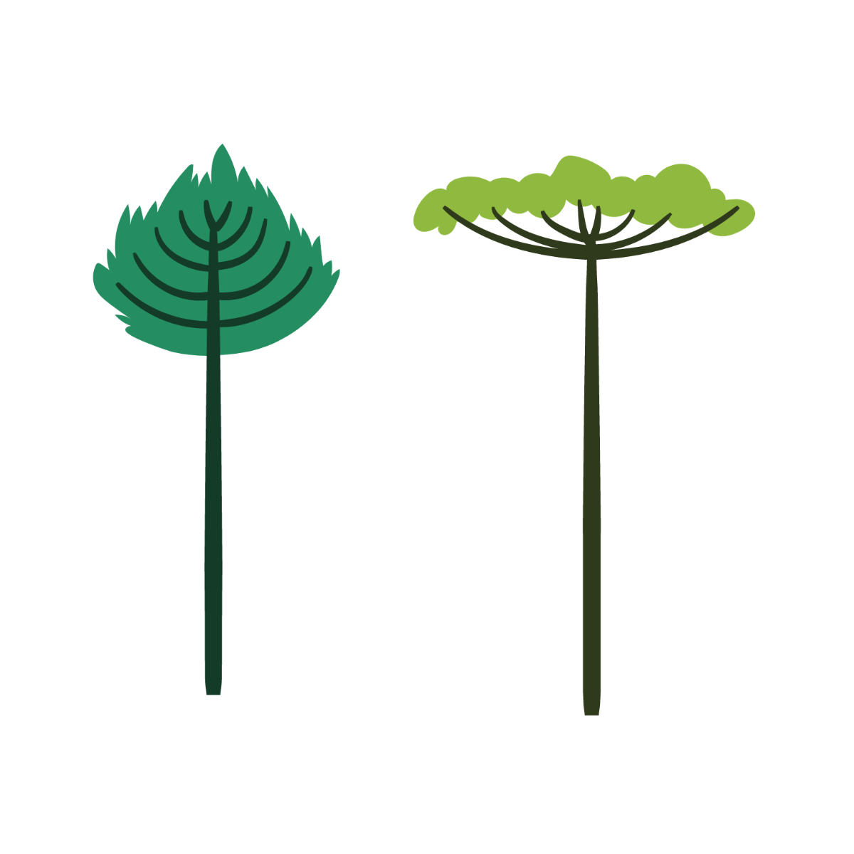 Free tree plant vector