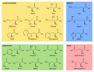 Download Free 100 + amino acids wallpaper