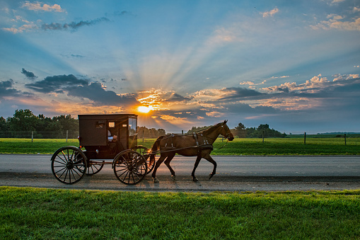 Amish pictures download free images on