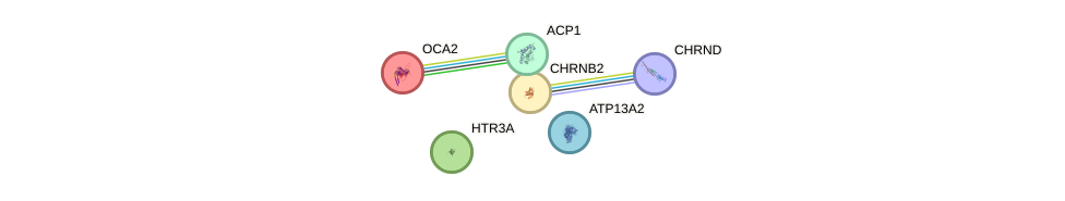 Oca gene