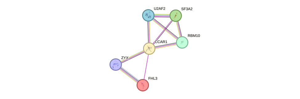 Ccar gene