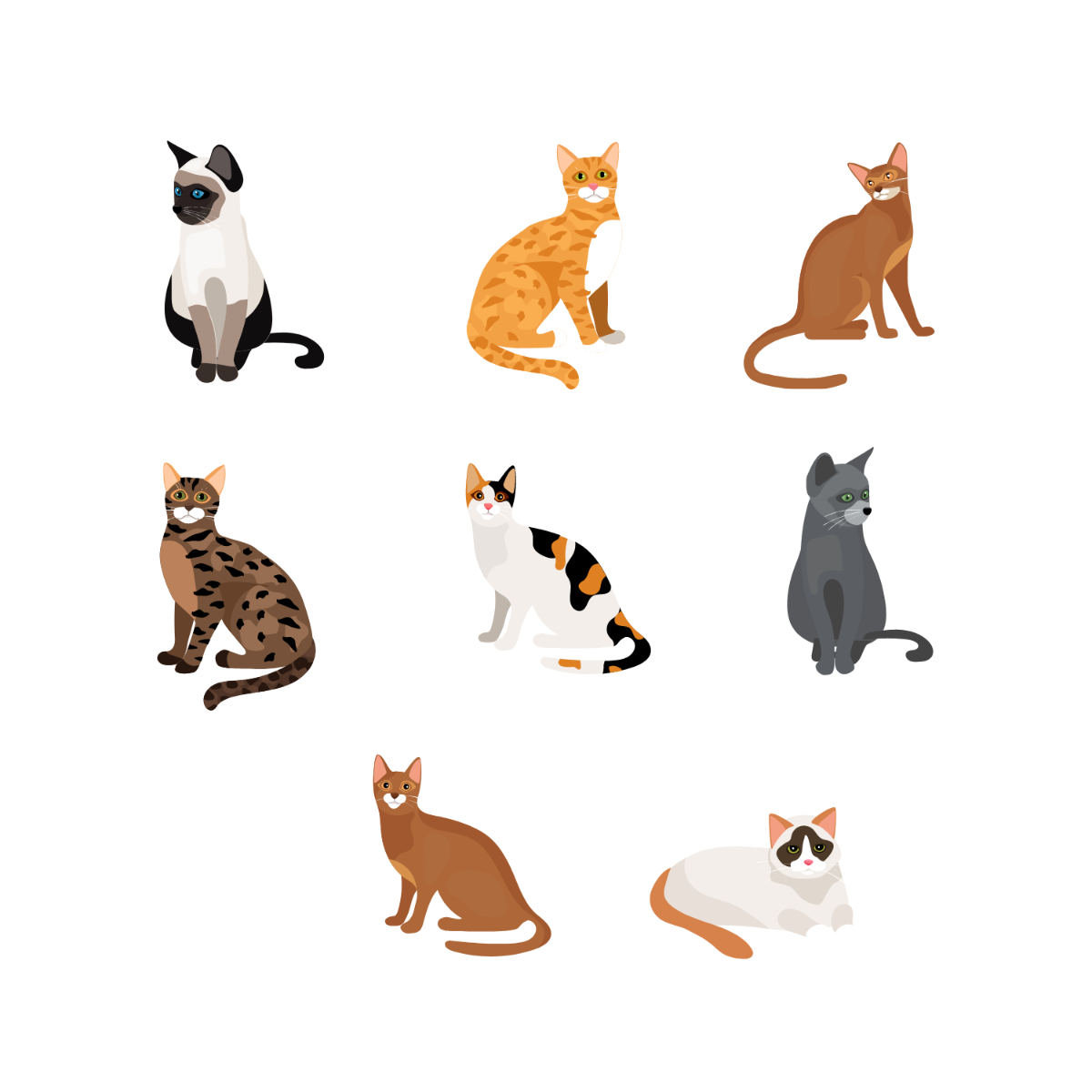 Free cat vectors