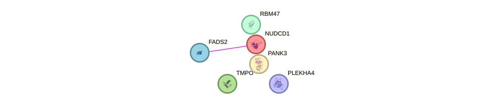 Fads gene