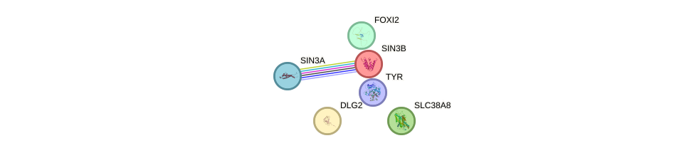 Slca gene