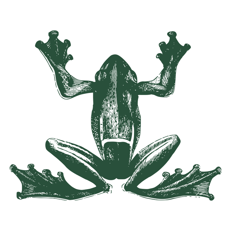 Vintage frog png images free photos png stickers wallpapers backgrounds