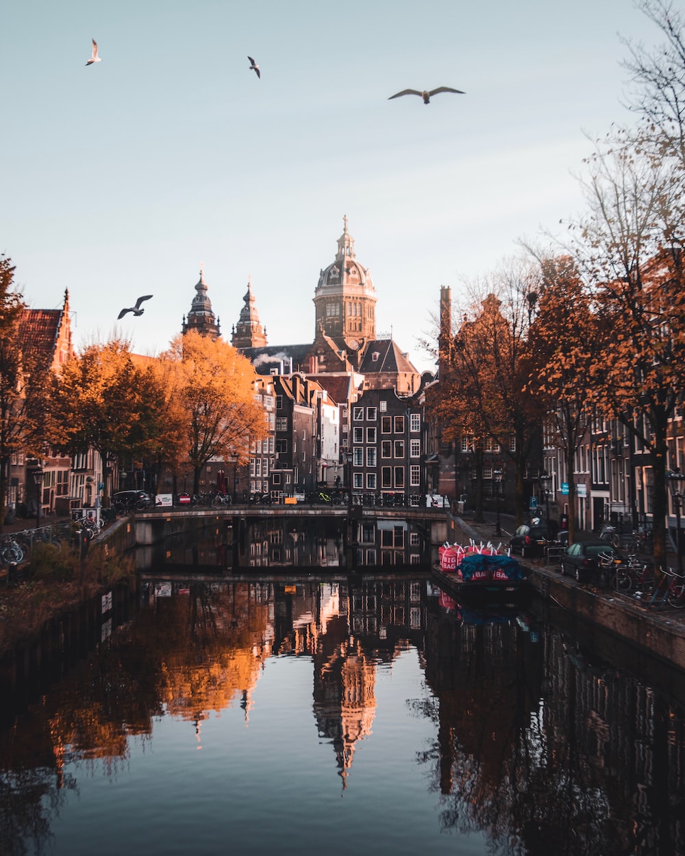 Amsterdam pictures download free images on