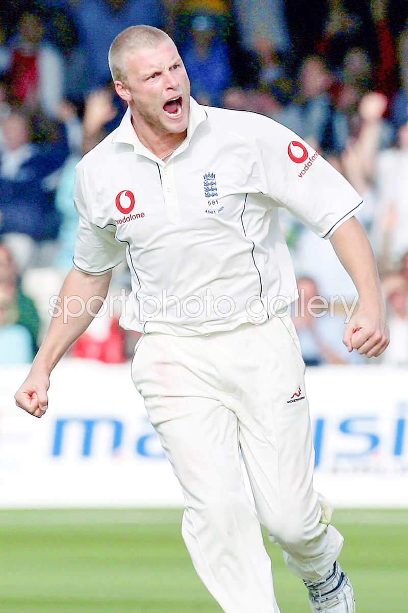 Ashes photo cricket posters andrew flintoff