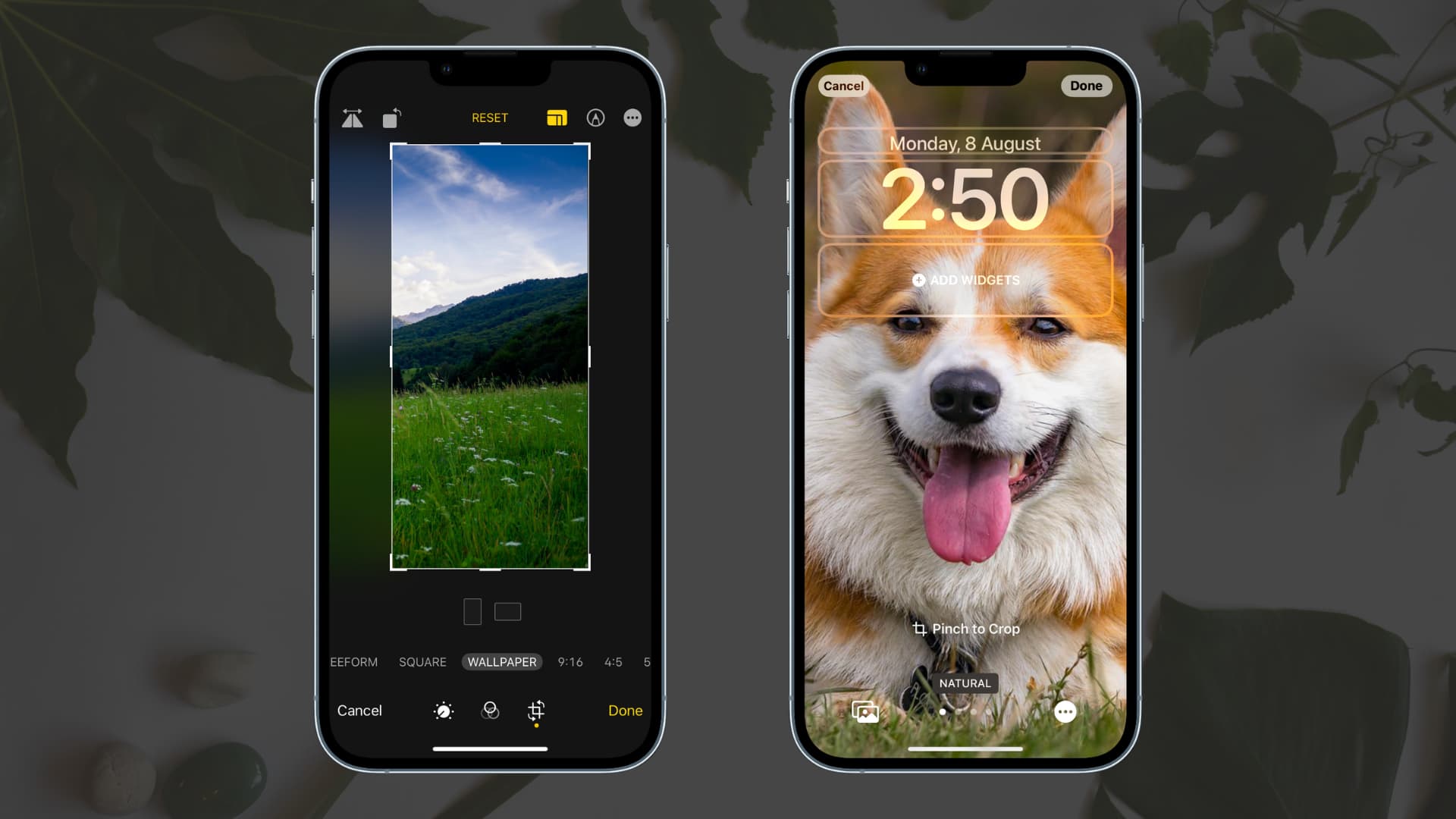 How to crop the perfect wallpaper for your iphone