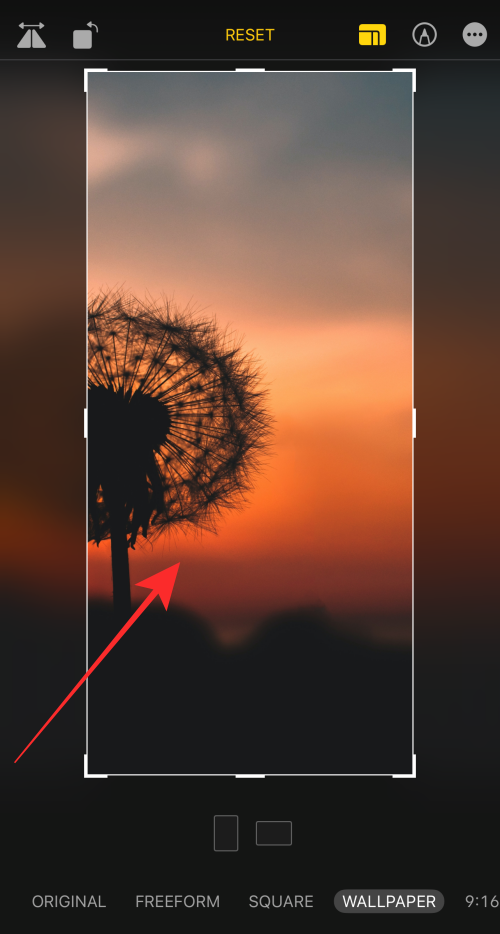 How to crop iphone wallpapers from any image on iphone