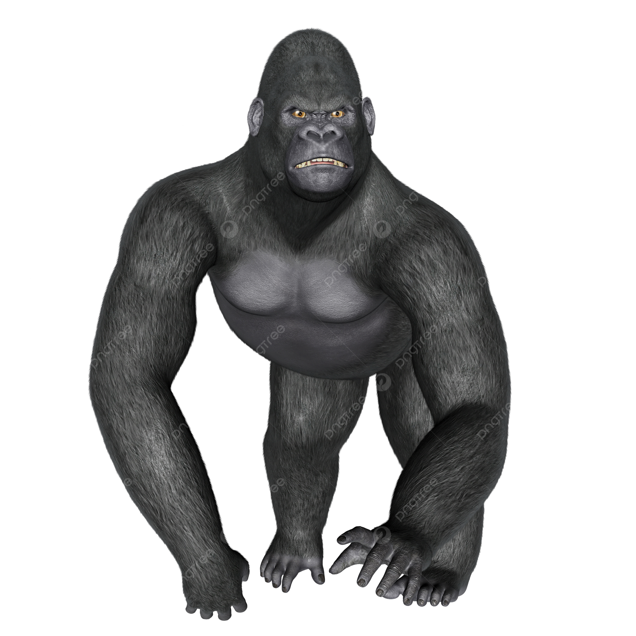 Angry gorilla png vector psd and clipart with transparent background for free download