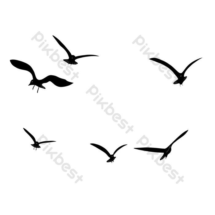 Bird wings png images free bird wings transparent pngvector and psd download