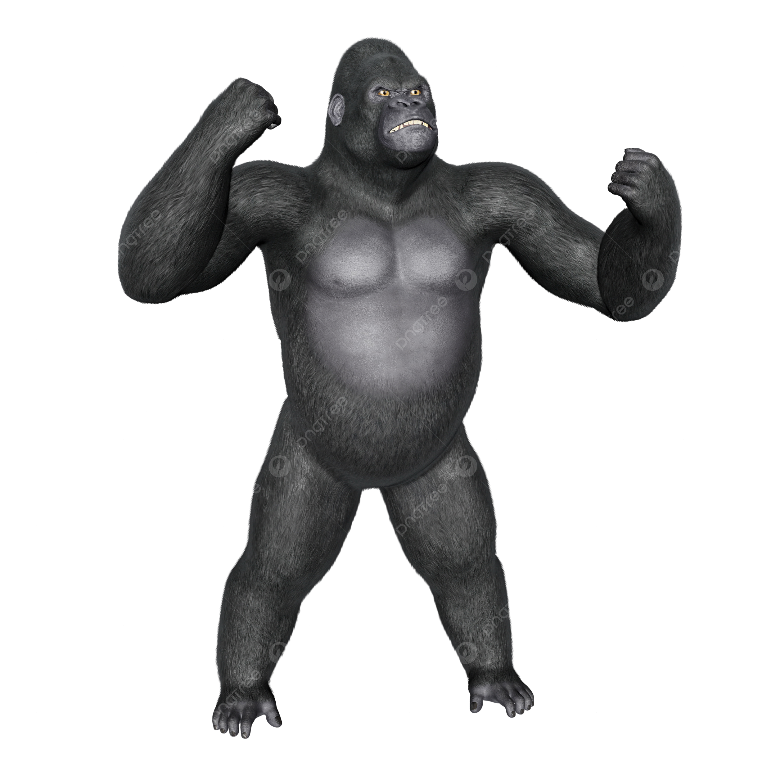 Angry gorilla png vector psd and clipart with transparent background for free download