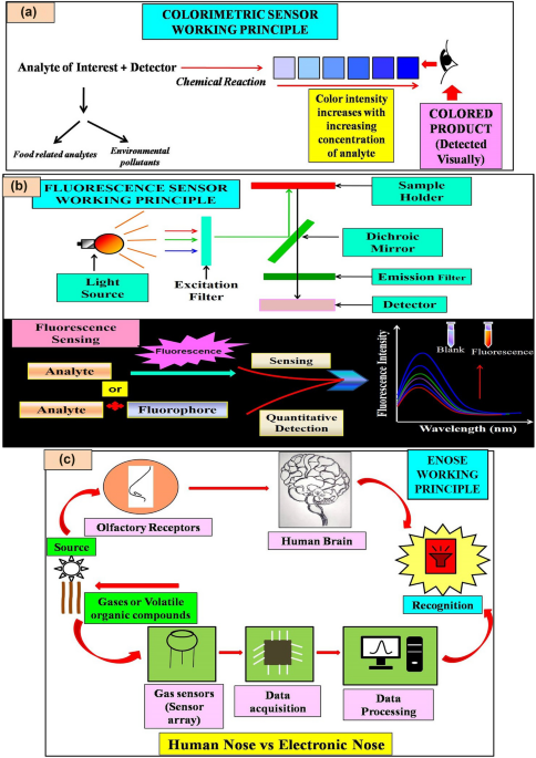 Recent advances in sensors for detecting food pathogens contaminants and toxins a review european food research and technology