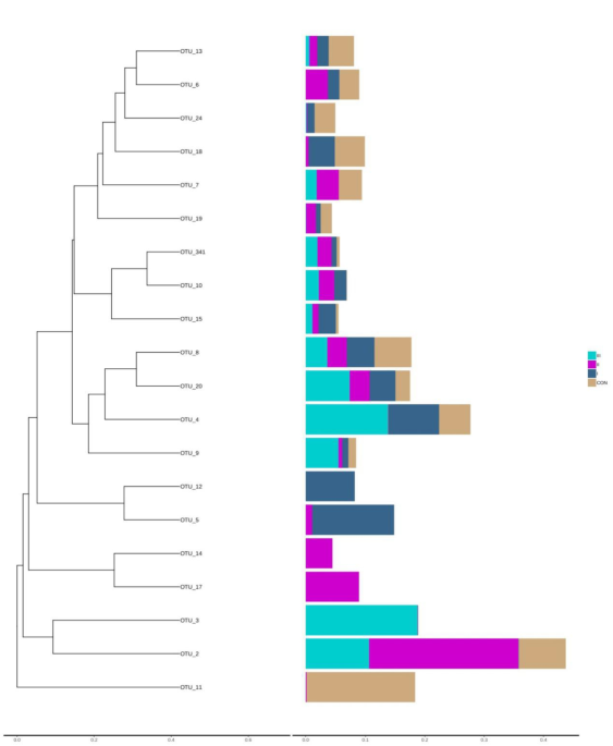 Effect of bacillus subtilis supplemented diet on broilers intestinal microbiota and tlrs gene expression